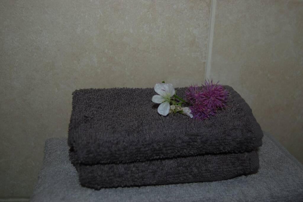 Creag Mhor Self Catering Holiday Apartment 阿伯福伊尔 外观 照片