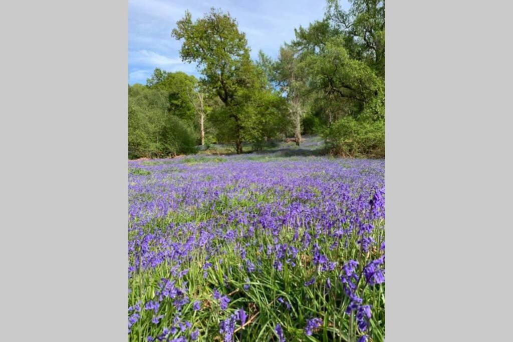 Creag Mhor Self Catering Holiday Apartment 阿伯福伊尔 外观 照片